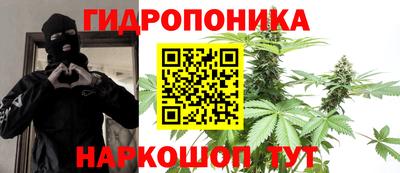 молекула духа Можайск