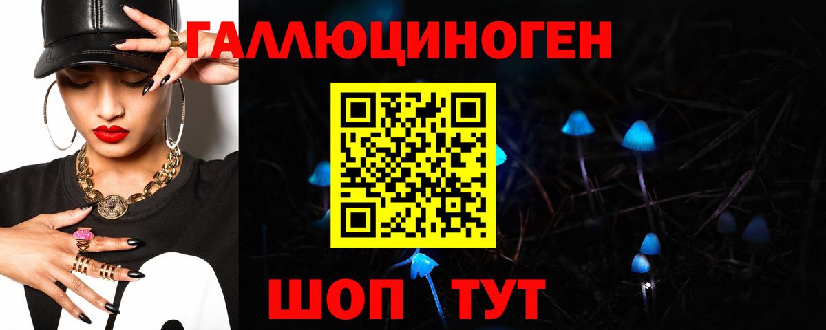 Галлюциногенные грибы Cubensis  Вход с VPN  Ярославль 
