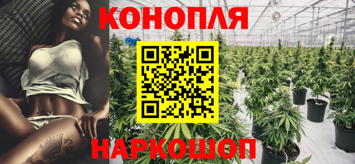 Канабис SATIVA & INDICA Ярославль